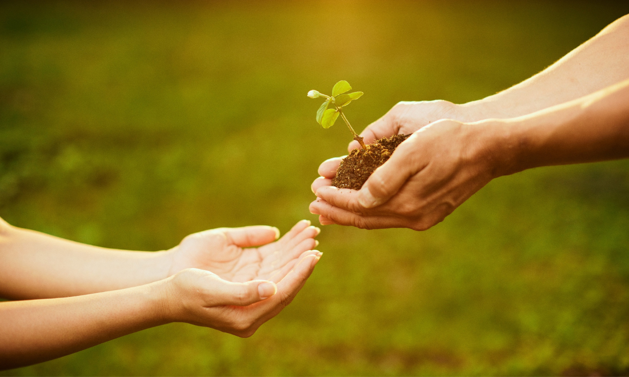 Accueil pour site web 11